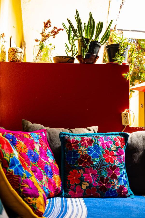 Oaxaca Hostal Pochon מראה חיצוני תמונה