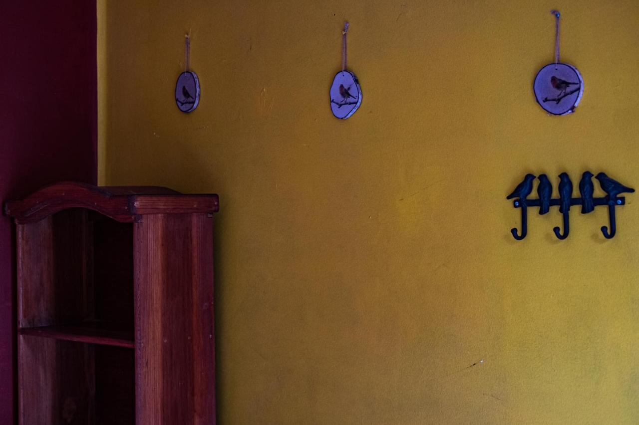 Oaxaca Hostal Pochon מראה חיצוני תמונה